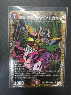 羅明逆夢 アシノムカメ 26RP3 14/24