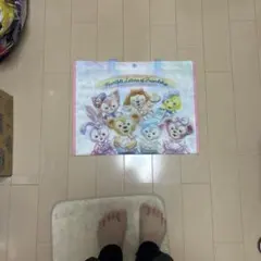 東京ディズニーシー　ハートフェルトレターズオブフレンドシップ　ショッピングバッグ