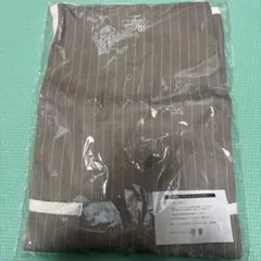 Item thumbnail for item 5aa1b44e-b599-4d85-871b-f1a514a712ab