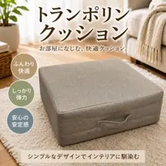 トランポリンクッション ベージュ 座布団 クッションのサムネイル