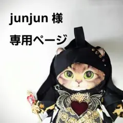 ダイヤ柄/専用ページ・コヤンイサムチョン、マスコット・バックチャーム