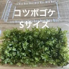 ひよこ　プロフ必読　翌日発送中様 リクエスト 3点 まとめ商品