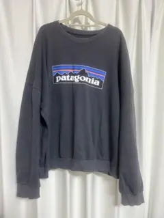 patagonia グレー スウェットシャツのサムネイル