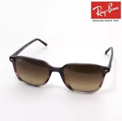【レイバン】サングラス RB2193F 138085 55サイズ LEONARD