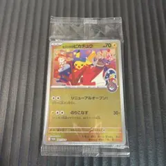 2026年最新】ヒロシマのピカチュウの人気アイテム - メルカリ