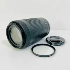 NIKON AF-P DX 70-300mm f4.5-6.3G ED VR