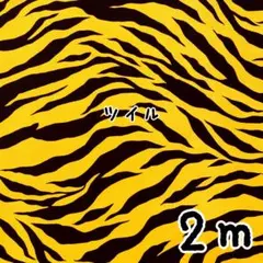 Item thumbnail for item 655d3f99-5dd1-4c32-8c21-a7a1727dc9b8