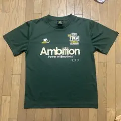 Ambition ALL TOKAI 2022ハンドボールTシャツ Mサイズ