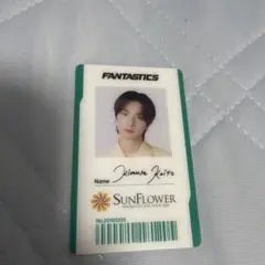 FANTASTICS SUNFLOWER ファンタ アプグレ グッズ 木村慧人のサムネイル