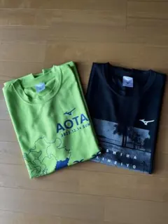 Item thumbnail for item 8bb0b291-2dbe-4b7e-8646-15cca55be848