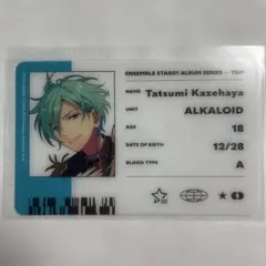 しゃけえる【プロフあり】様 リクエスト 2点 まとめ商品