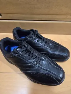 Item thumbnail for item 528a1265-c4e4-4ae1-a6eb-215e8b6ea400