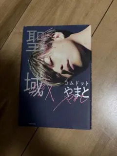 聖域 コムドットやまと