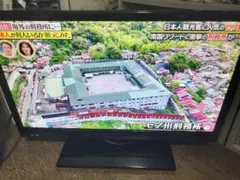 金剛カラテ 金剛空手 正道3連覇 フルコン 川地雅樹 セミナー - メルカリ