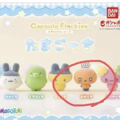 たまごっち カプセルフロッキーズ まめっち　めめっち ふらわっち　BANDAI