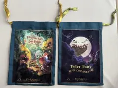 ディズニー 巾着袋 ティンカーベルとピーターパン