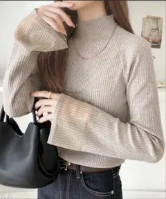 袖ラメシアーハイネックリブニット