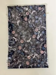 Item thumbnail for item 70dfd8a9-2f21-4a14-a5e1-dbca8440488e