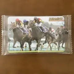 まねき馬J226復刻ビワハヤヒデ 第35回宝塚記念 優勝馬カード - メルカリ