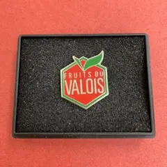 240★フランス雑貨★ピンズ　ピンバッジ　ピンバッチ　ヴィンテージ★