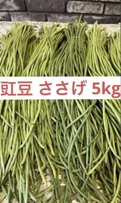 2026年最新】豇豆の人気アイテム - メルカリ