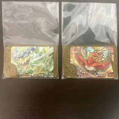 ポケモンフレンダ　レガシーピック　2枚