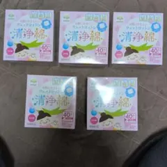 Item thumbnail for item eb4a305b-1b4a-4c43-8735-b20e997a4938