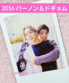 seventeen 2016 バーノン ドギョム チェキ トレカ 韓国限定