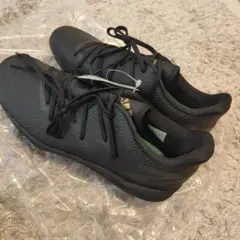 Item thumbnail for item a05431fa-3d26-4941-8218-b79fa4cffe04