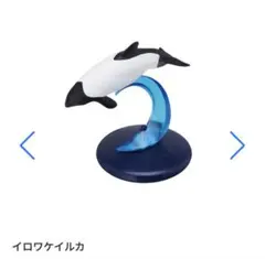 クジラとイルカ イロワケイルカ フィギュア カプセルトイ