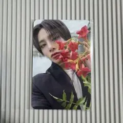 straykids アイエン タレントカード