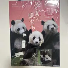 アドベンチャーワールド　彩浜　チェキフレーム　ステッカーセット　キーホルダー アドベンチャーワールド チェキフレーム ステッカーセット