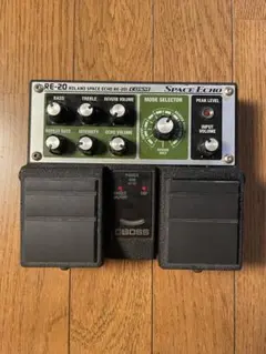 Roland RE-100 Space Echo 【ジャンク品】 - メルカリ
