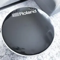 Item thumbnail for item 678ddb98-3d82-4629-b184-5907539836f8