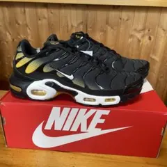 Air Max Plus 