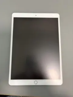 Apple iPad pro 10.5 (モデル A1701) シルバー本体