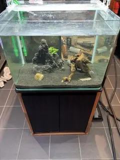 廃盤希少　ADA 60low水槽と色々 ADAイベントで、展示されていた30×18×24水槽 超小型水槽でもここ