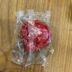 仮面ライダーマイス GPライダーエグズ01 カブトシードエグズ