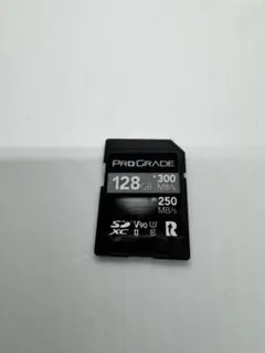 ProGrade SDXC UHS-II V90 256半年ほど軽度使用動作良好 - メルカリ