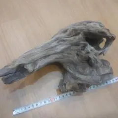 XM-525 ブランチウッド 流木 マシンガンウッド アクアリウム 沈水確認