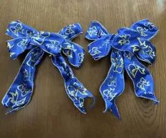 Item thumbnail for item 64338913-f259-4fe3-98d8-94efe9b002b3