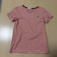 美品 LACOSTE ボーダー 半袖Tシャツ 40 ラコステ Mのサムネイル