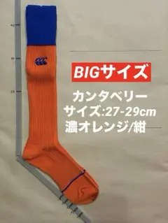 《カンタベリー/27-29cm》ラグビーソックス_379