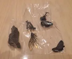 いきもの大図鑑 ミニコレクション　昆虫01　　ヤマトカブトムシ(飛型)