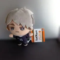 2026年最新】宮侑 ハイキュー ちみっともぬいの人気アイテム - メルカリ