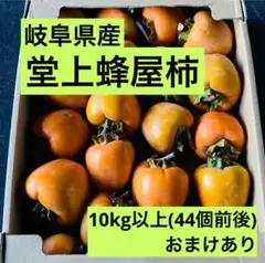 2025年最新】堂上蜂屋柿の人気アイテム - メルカリ