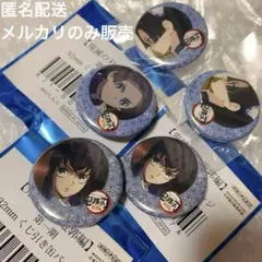 くじ引き缶バッジ 鬼滅の刃 遊郭編 第一期 伊之助 アオイ ufotable