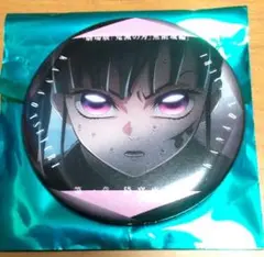 鬼滅の刃 ufotable 隊士百景 マニアック 缶バッジ エモ缶 カナヲ