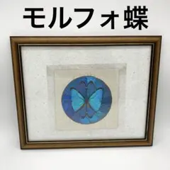 2025年最新】モルフォ蝶 アートの人気アイテム - メルカリ