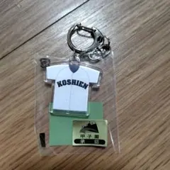 Item thumbnail for item 15da1d51-4e9b-4e6b-b906-2816e1b13921